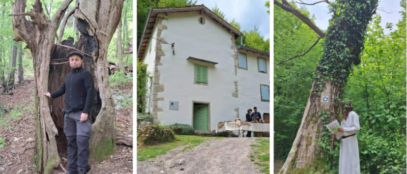 Kuća stabla svijeta