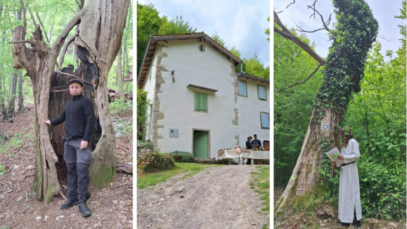 Kuća stabla svijeta