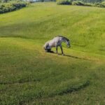 Ilustracija FOTO: Tomislav Marčinić