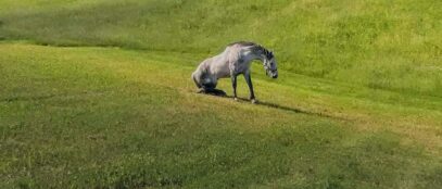 Ilustracija FOTO: Tomislav Marčinić