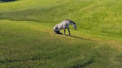 Ilustracija FOTO: Tomislav Marčinić