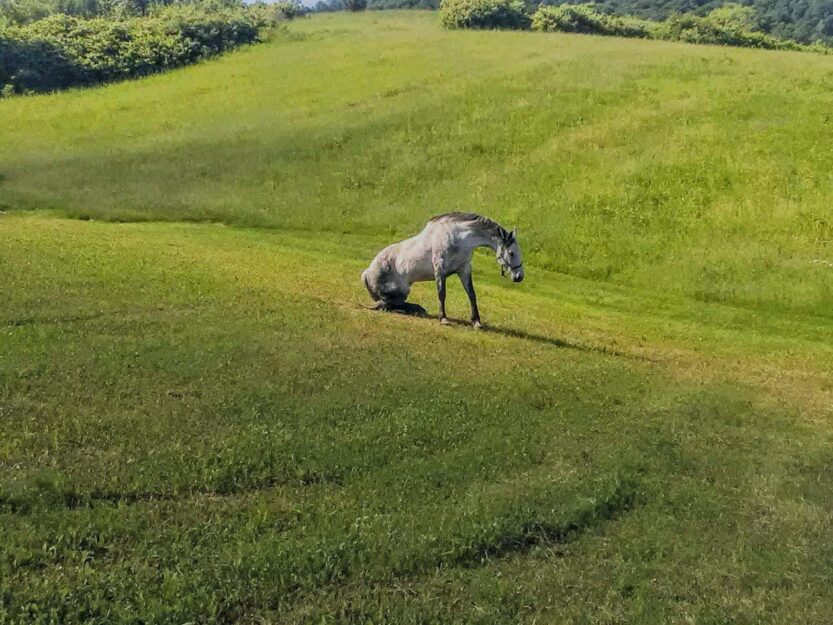 Ilustracija FOTO: Tomislav Marčinić