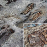 Umjesto ljudske, na skeletu su pronađeni dijelovi najvjerojatnije konjske lubanje i čeljusti/Foto: Krešimir Vacek