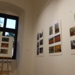 Izložba "Šuma okom šumara" u daruvarskom dvorcu Janković FOTO: MBT