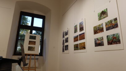 Izložba "Šuma okom šumara" u daruvarskom dvorcu Janković FOTO: MBT