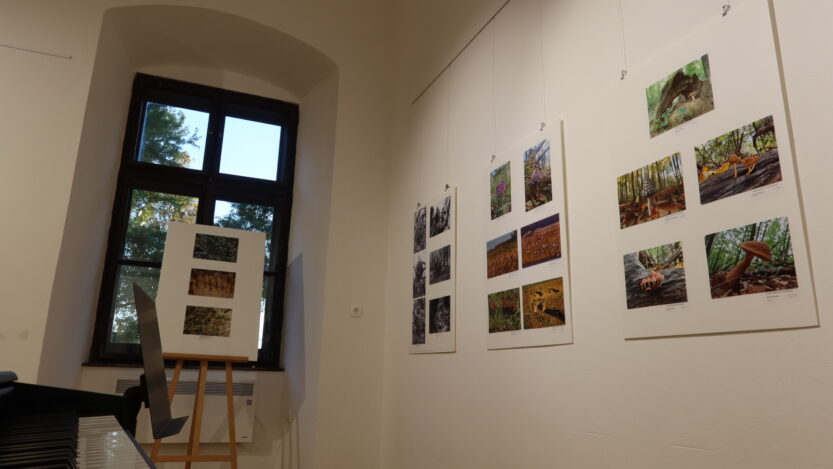 Izložba "Šuma okom šumara" u daruvarskom dvorcu Janković FOTO: MBT