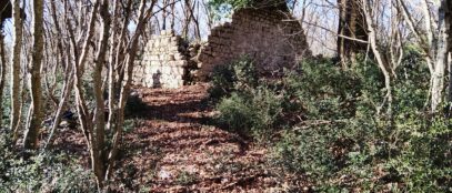 Put prema kašteliću FOTO: Darko Antolković