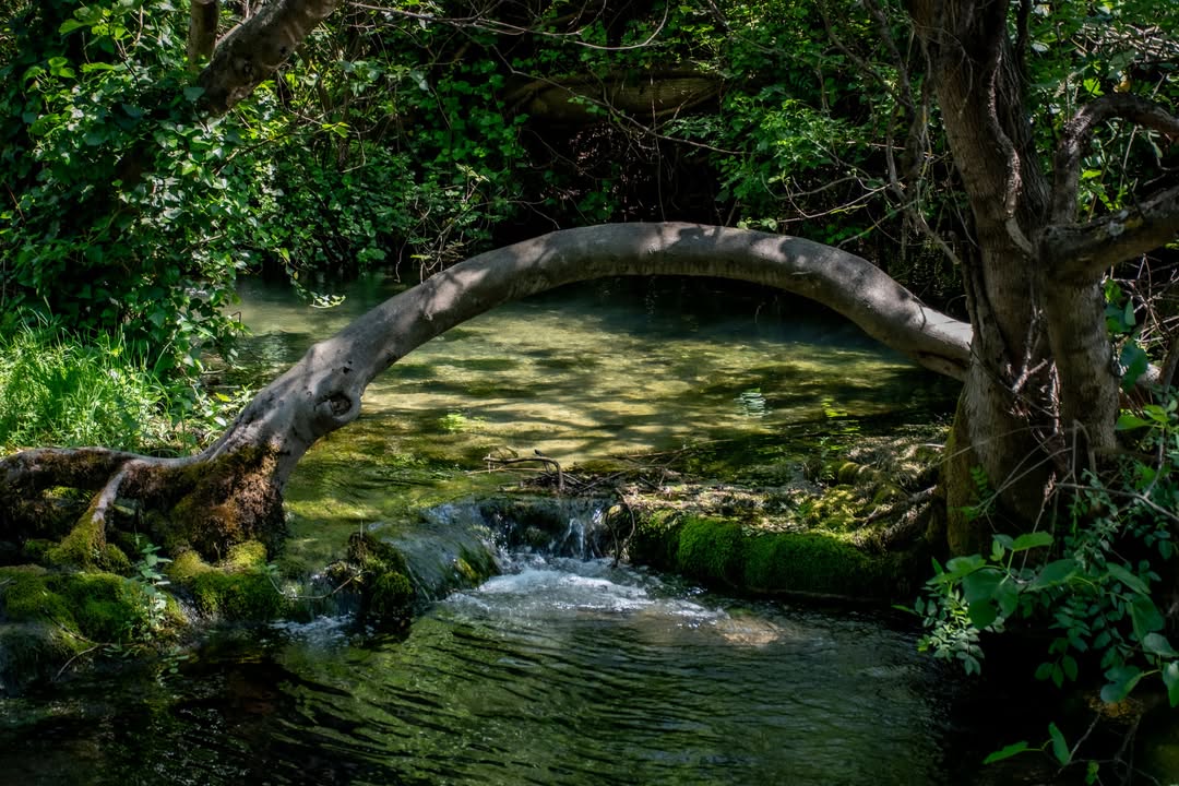 Skradinski buk FOTO: Antun Lukšić