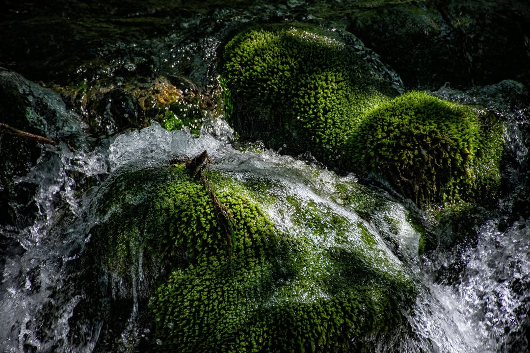Skradinski buk FOTO: Antun Lukšić