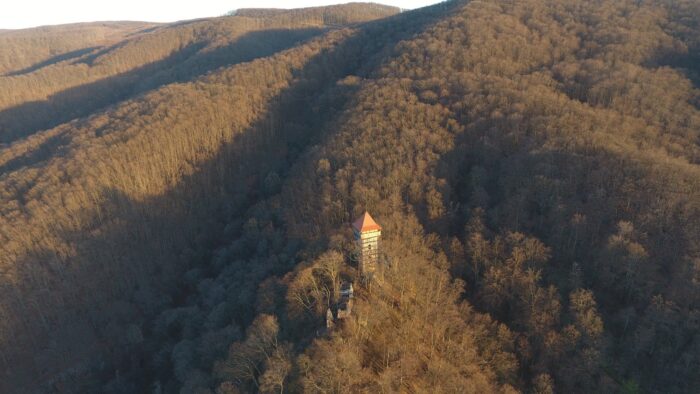 Stupčanica FOTO: Dalibor Lovrić