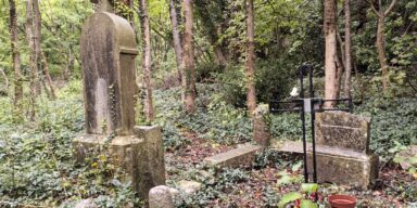 Napušteno groblje u Bakarcu FOTO: Darko Antolković