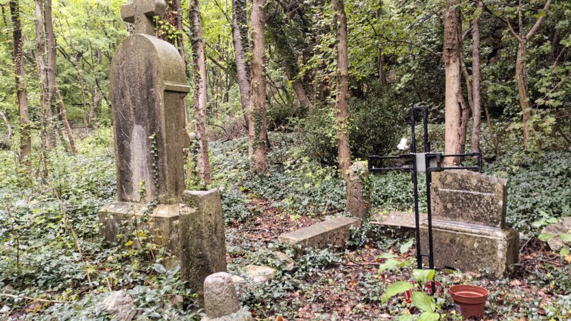 Napušteno groblje u Bakarcu FOTO: Darko Antolković