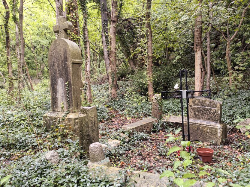 Napušteno groblje u Bakarcu FOTO: Darko Antolković