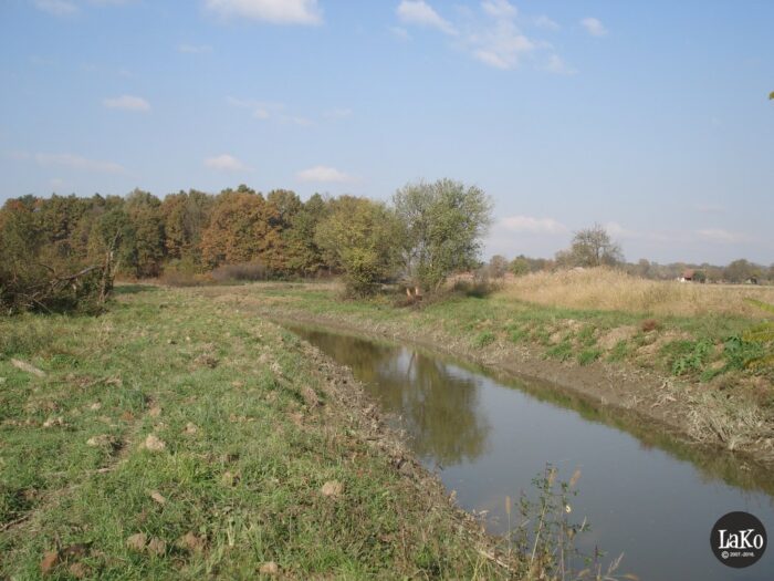 Jarak s vodom nekada utvrde Kraljeva Velika FOTO: Udruga Lako, lako.com.hr