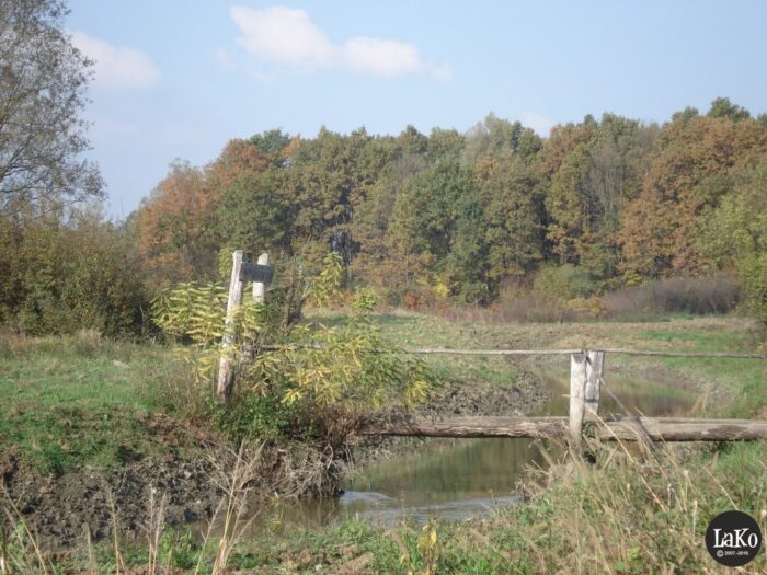 Jarak premošten mostićem FOTO: Udruga Lako, lako.com.hr