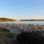 Ostavljanje kamena na kamenu čest je fenomen duž jadranske obale, Rovinj nije iznimka FOTO: MBT