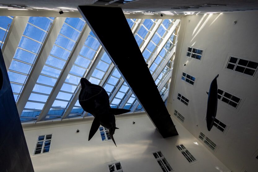 Obnovljeni Prirodoslovni muzej Zagreb, atrij FOTO: HINA / Ministarstvo kulture i medija