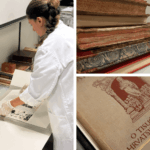 Mozaik fotografija, NSK