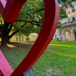 Ginko stabla ispred dvorca Janković u kojem je Zavičajni muzej Daruvar FOTO: A.M. / Blaga & misterije