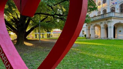 Ginko stabla ispred dvorca Janković u kojem je Zavičajni muzej Daruvar FOTO: A.M. / Blaga & misterije