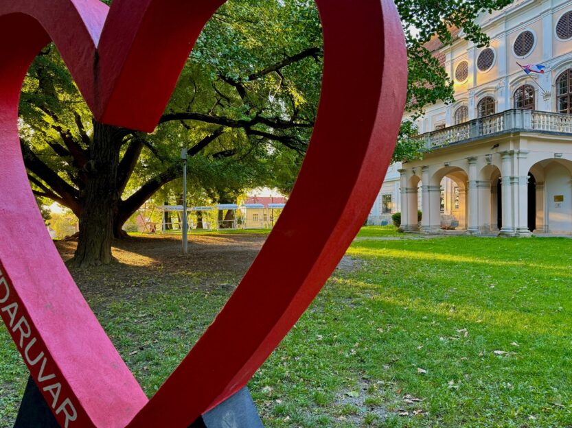 Ginko stabla ispred dvorca Janković u kojem je Zavičajni muzej Daruvar FOTO: A.M. / Blaga & misterije