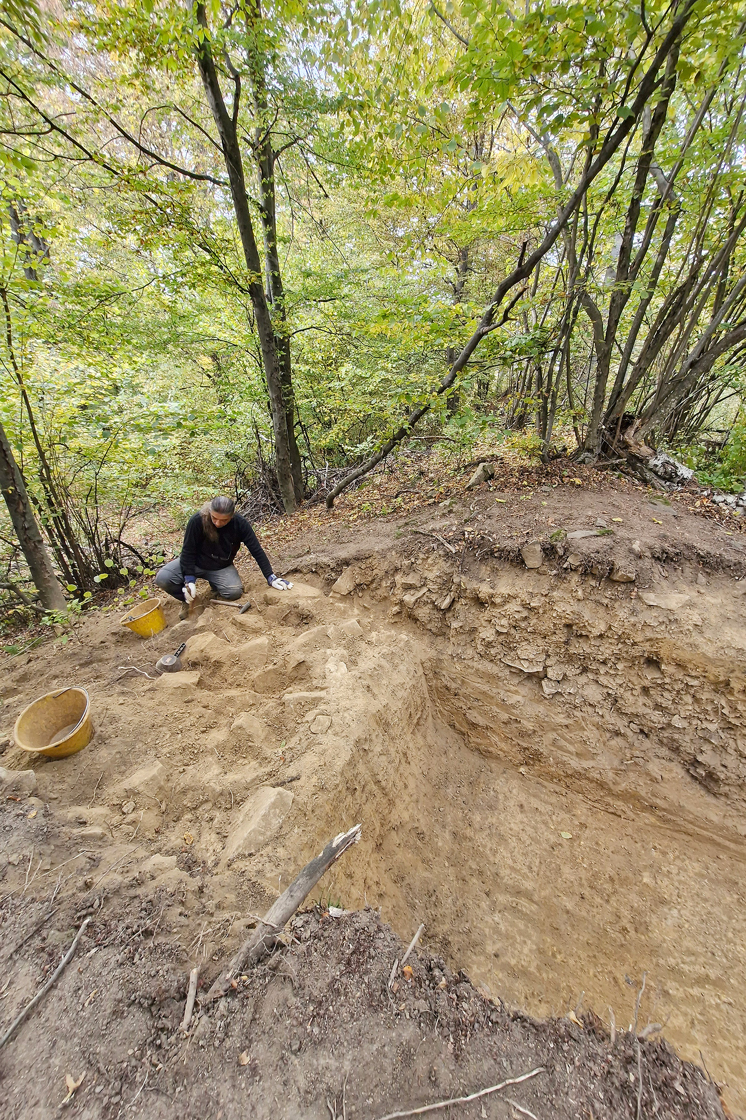 Arheološki lokalitet Gradna kod Voćina FOTO: Kristijan Toplak / Virovotičko - podravska županija