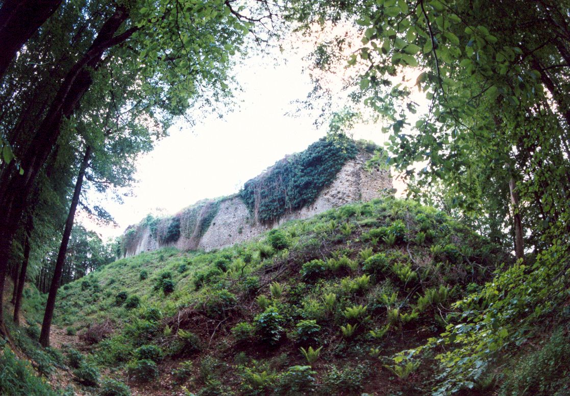 Jelengrad početkom 2000., prije početka ikakvih radova, bilo je skoro nemoguće fotografirati zbog guštare i mraka. FOTO: Stela Kos, fototeka Povijesna udruga Moslavina