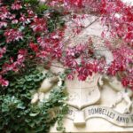 Grb na dvorcu Opeka, FOTO: Javna ustanova za upravljanje zaštićenim dijelovima prirode Varaždinske županije