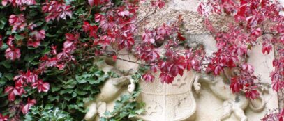 Grb na dvorcu Opeka, FOTO: Javna ustanova za upravljanje zaštićenim dijelovima prirode Varaždinske županije