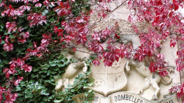 Grb na dvorcu Opeka, FOTO: Javna ustanova za upravljanje zaštićenim dijelovima prirode Varaždinske županije