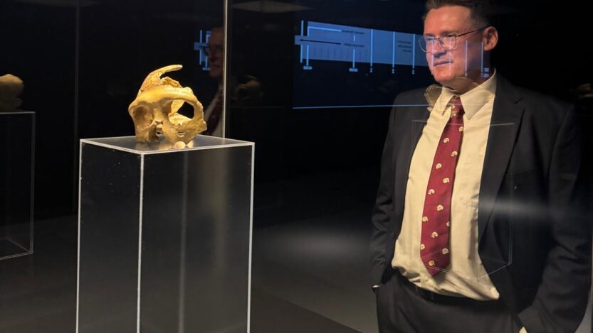 Otvorenje izložbe „Lubanja C- svjetska paleoantropološka baština“. FOTO: A.M. / Blaga & misterije