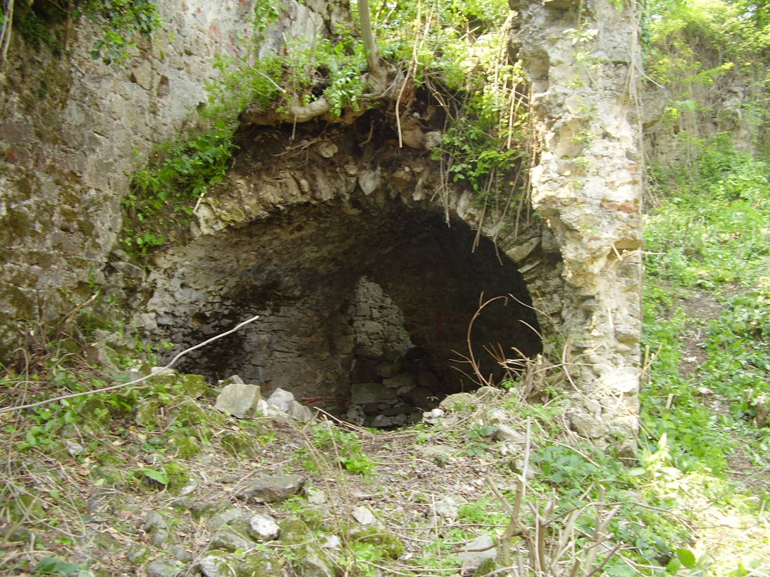 Čišćenje Jelengrada, Fototeka Povijesna udruga Moslavina