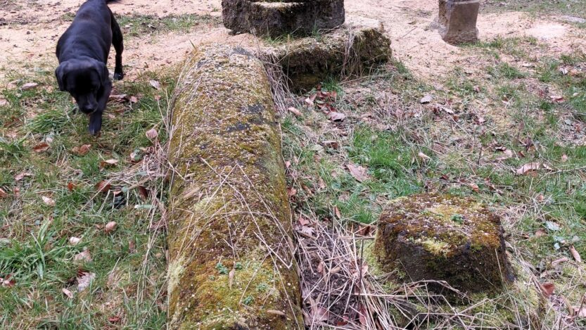 Groblje kućnih ljubimaca, arboretum Opeka, zabilježeno fotografijom 29.10.2025. godine FOTO: Dijana Palada