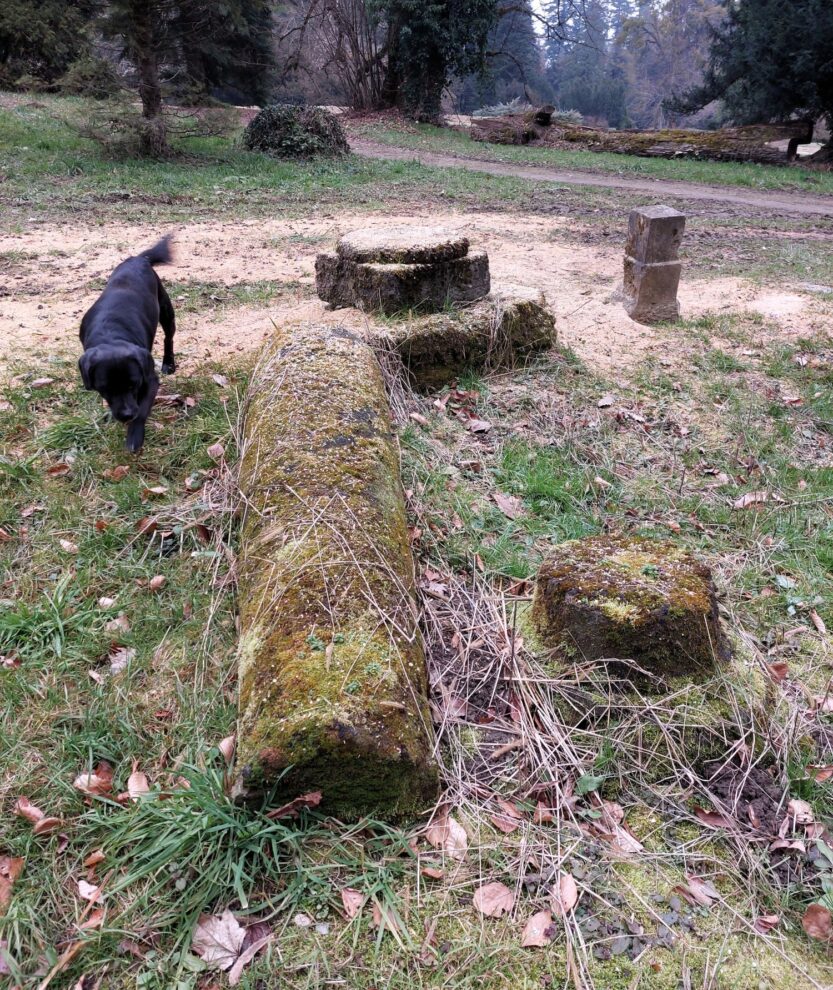 Groblje kućnih ljubimaca, arboretum Opeka, zabilježeno fotografijom 29.10.2025. godine FOTO: Dijana Palada