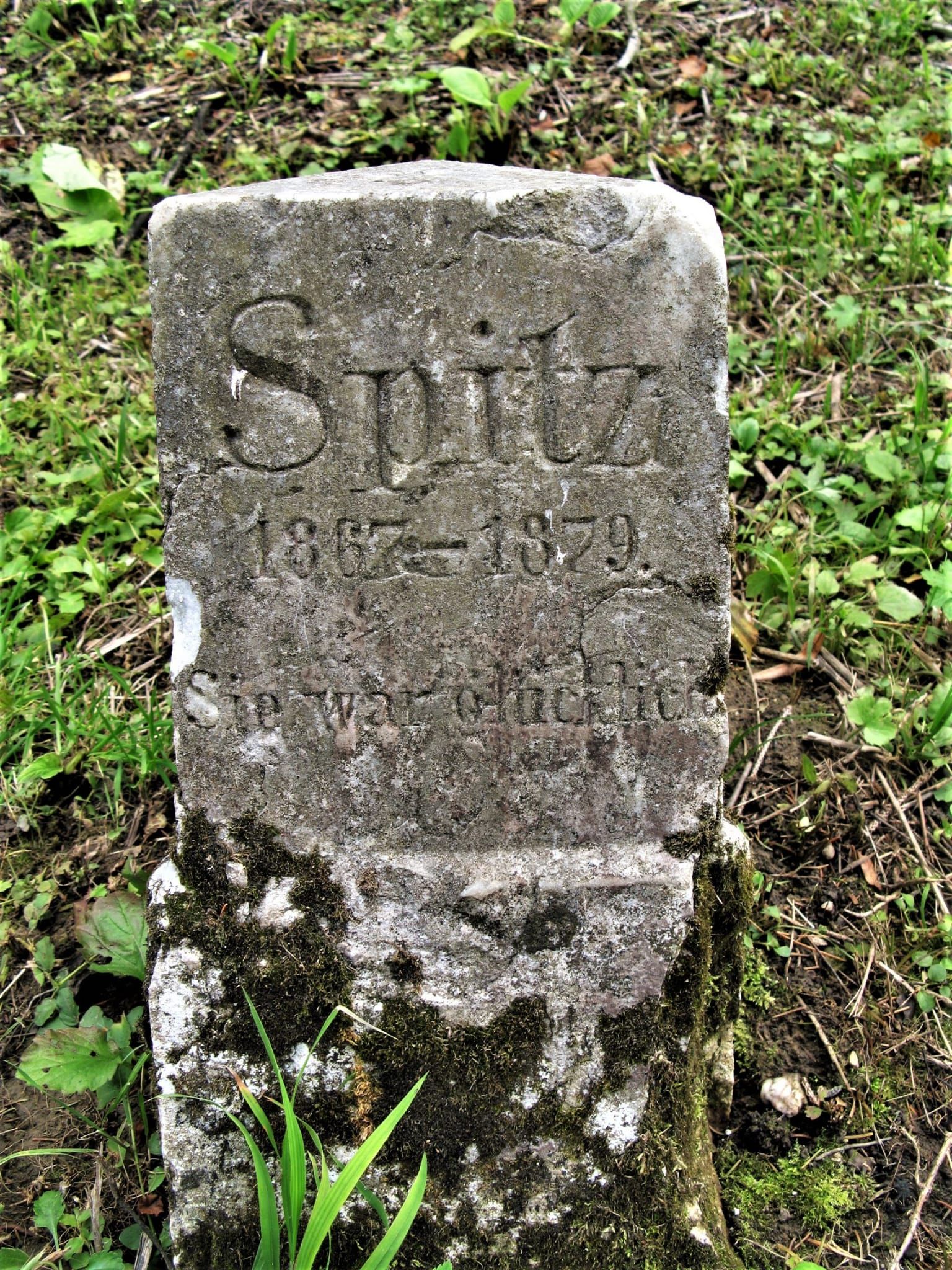 Groblje kućnih ljubimaca, arboretum Opeka, zabilježeno fotografijom 2008. godine FOTO: Dijana Palada