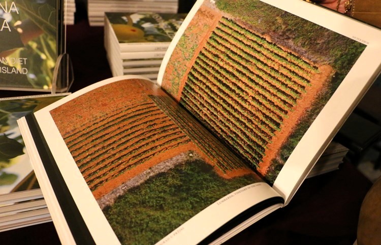 Predstavljanje publikacije „Mediteranska prehrana - Korčula” autorice i urednice Sani Sardelić u izdanju Ministarstva kulture i medija. FOTO: MKM