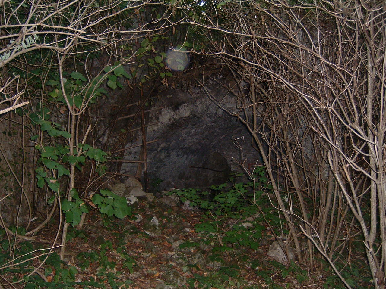 Jelengrad početkom 2000., prije početka ikakvih radova, bilo je skoro nemoguće fotografirati zbog guštare i mraka. FOTO: Stela Kos, fototeka Povijesna udruga Moslavina