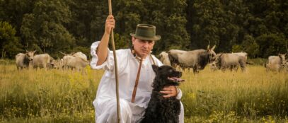 Hrvatski ovčari, Foto: Dora Dević, 2025 / Ministarstvo kulture i medija