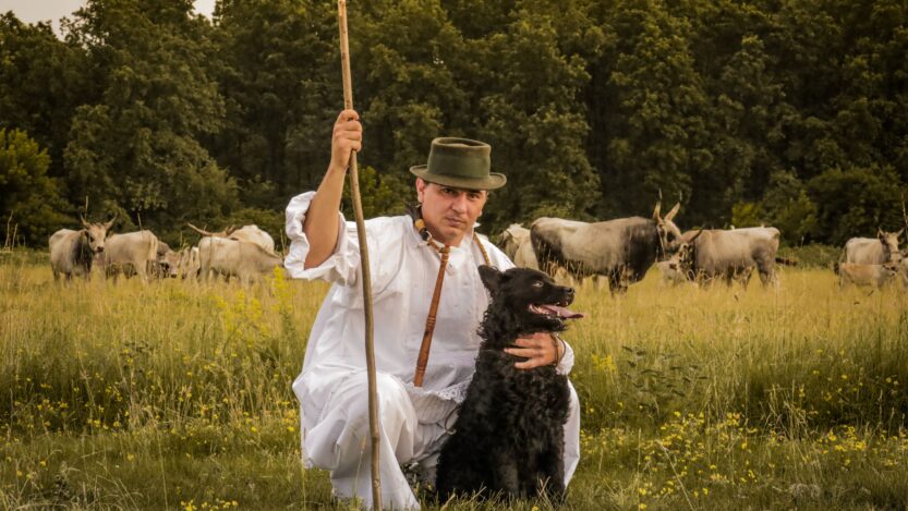 Hrvatski ovčari, Foto: Dora Dević, 2025 / Ministarstvo kulture i medija