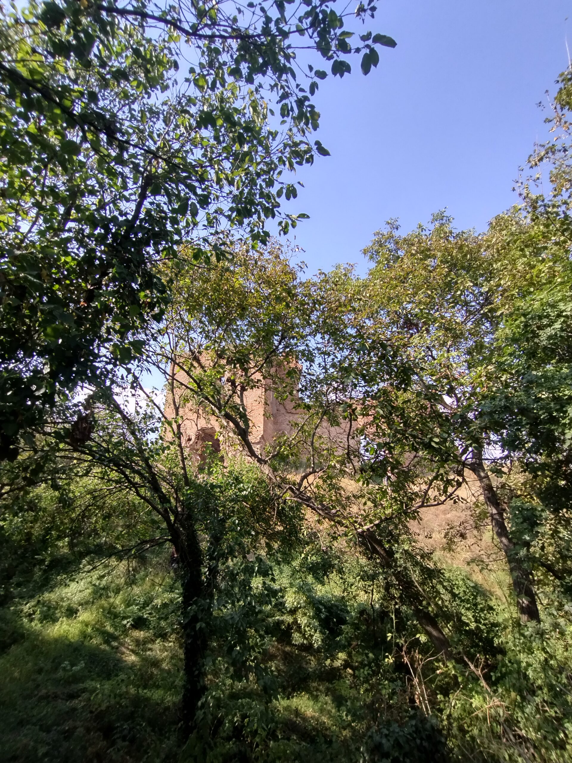 Tvrđava Šarengrad FOTO: Krešimir Regan, Leksikografski zavod Miroslav Krleža