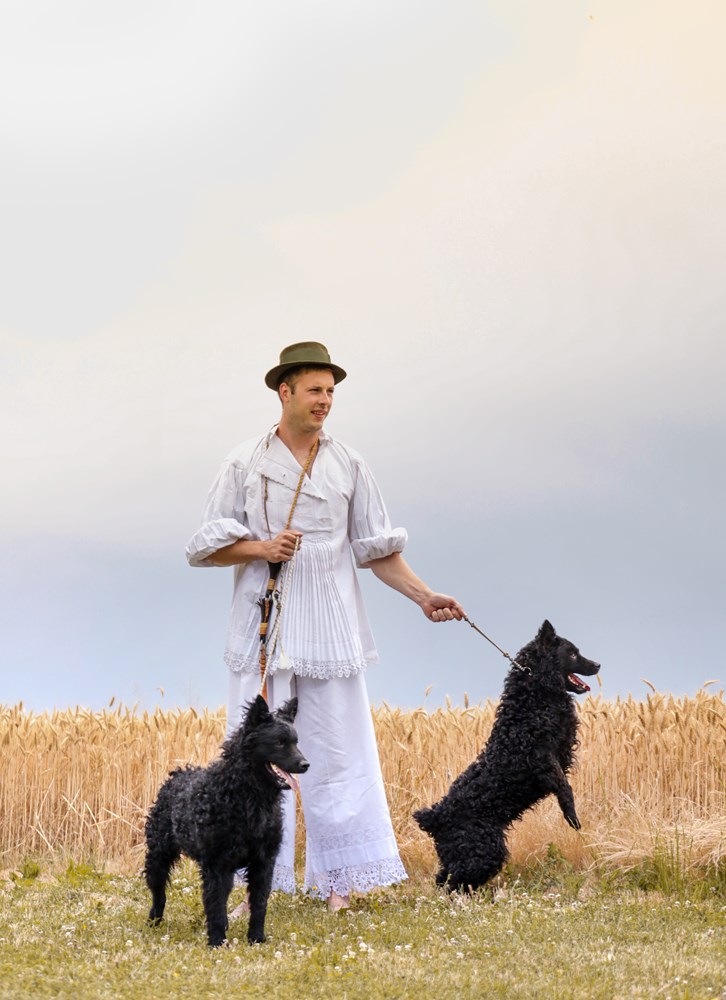 Hrvatski ovčari, Foto: Dora Dević, 2025 / Ministarstvo kulture i medija