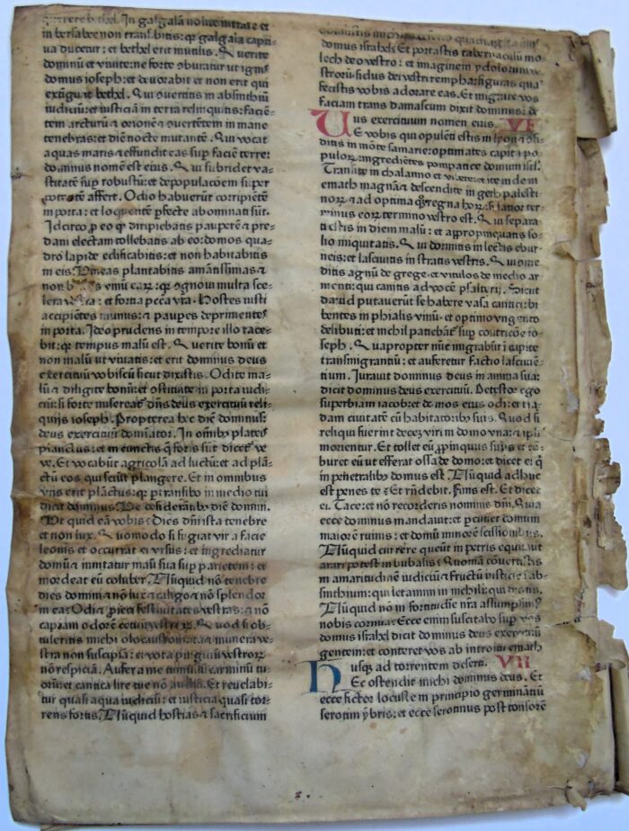 Fotografija: Facebook stranica Sveti Frane Zadar