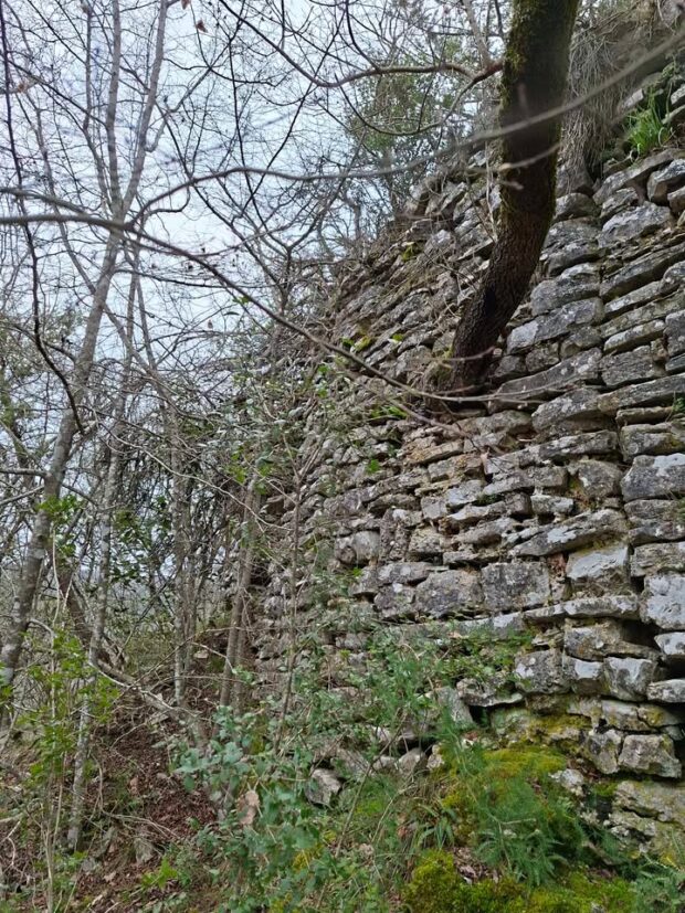 Parentin FOTO: Tin Knežević