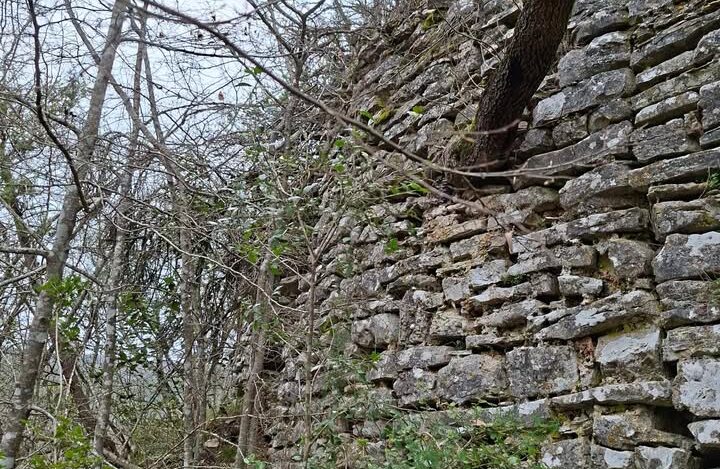 Parentin FOTO: Tin Knežević