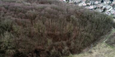 Pogled sa sjevera na gradište Turski stol 2019. A. Džaja, arhiva Muzeja Moslavine Kutina