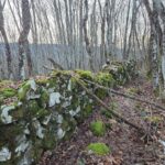 FOTO: Neven Vojić Nešo