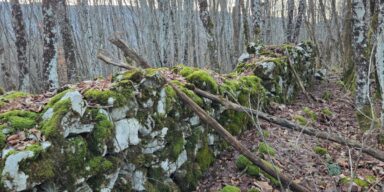 FOTO: Neven Vojić Nešo