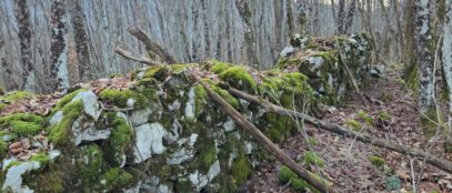 FOTO: Neven Vojić Nešo