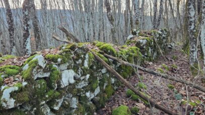 FOTO: Neven Vojić Nešo