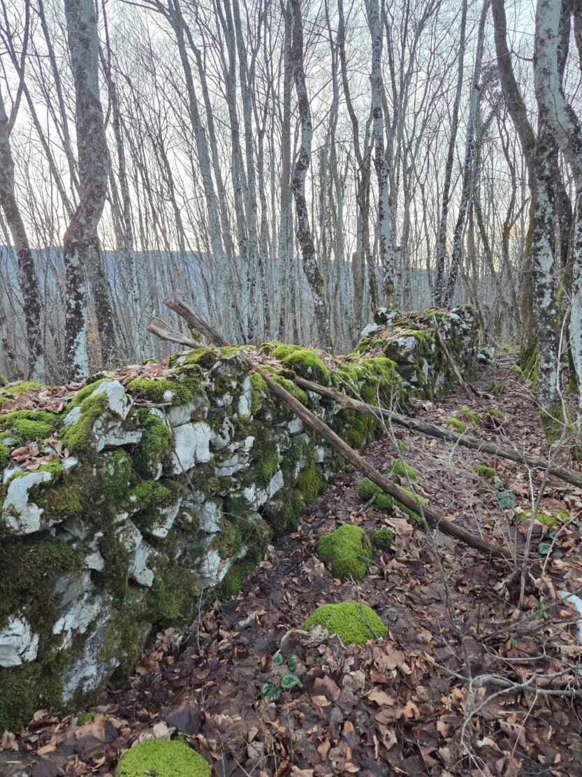 FOTO: Neven Vojić Nešo
